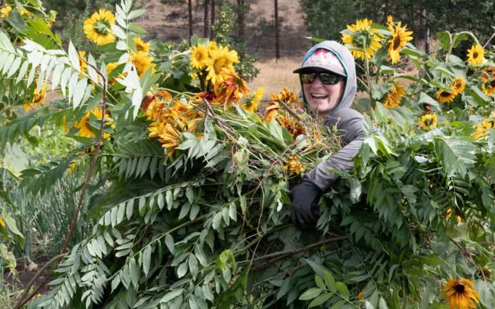 a person holds a bunch of sunflowers during a service project with outward bound